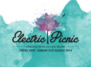 electric-picnic-14