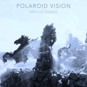 polaroid vision - impulse animus