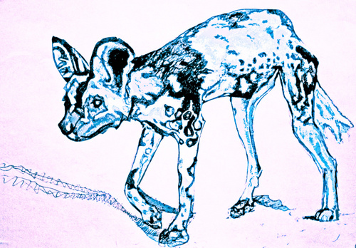 DogWillHunt – 8th June 2012