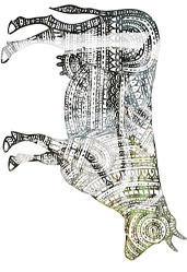 Forfey Festival 2012 – 3rd August 2012