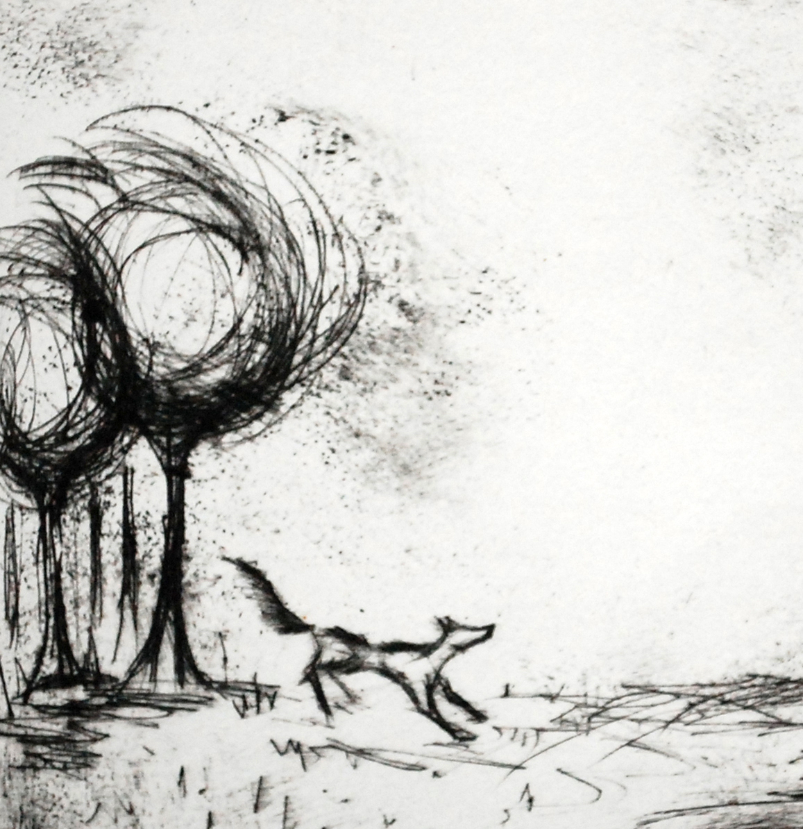 Little Rivers – I Hope in Colour