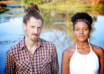 Introducing #11 – Birds of Chicago