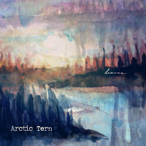 Arctic Tern – Leaves