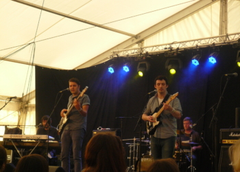 Little Bear Free In-store Gig