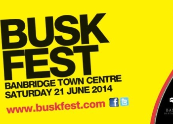 NI’s top busker to play Sunflower Fest