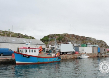 Swell Festival 2014 | In Photos