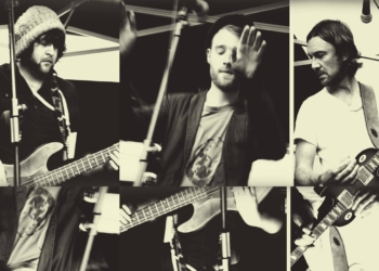 Introducing #57: Plain Zebra