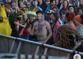 Sunflowerfest 2014 | In Photos