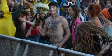 Sunflowerfest 2014 | In Photos