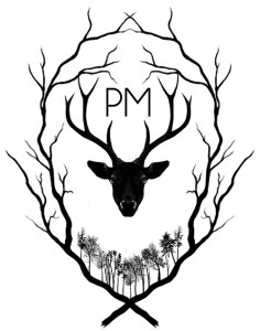 peter mcveigh - PM - album cover