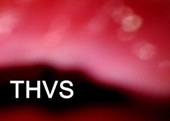 THVS – Everyday Hexes