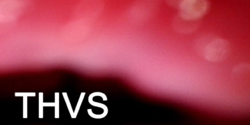 THVS – Everyday Hexes