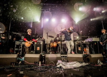 Sunflowerfest – 31st July 2015