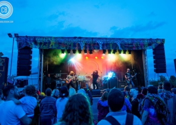 Sunflowerfest – 1st August 2015