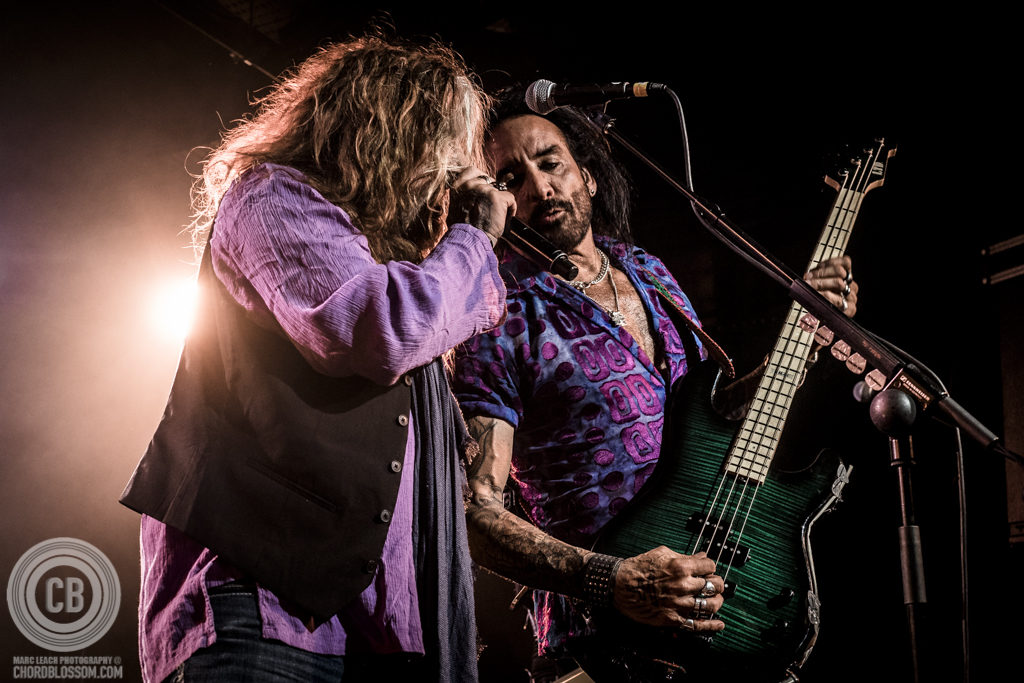 The Dead Daisies - Photo by Marc Leach Photography