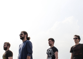 Premiere: Paper Dogs – Social Animals