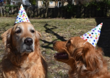 Five Years: A Reflection