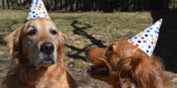 Five Years: A Reflection