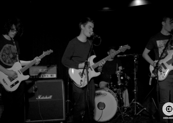 gnarkats waves collide