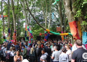 Stendhal Festival 2018 Crowd Shot Woodland