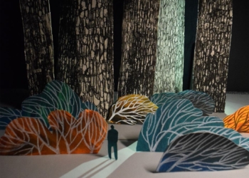 beach comber rory friers