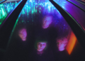 Fresh Music from NI – April